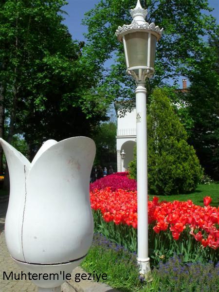 tulips festival