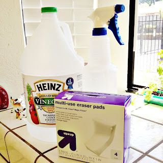 Live Cheap :: Clean & Cheap Cleaning Products