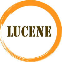 Learn Lucene Full