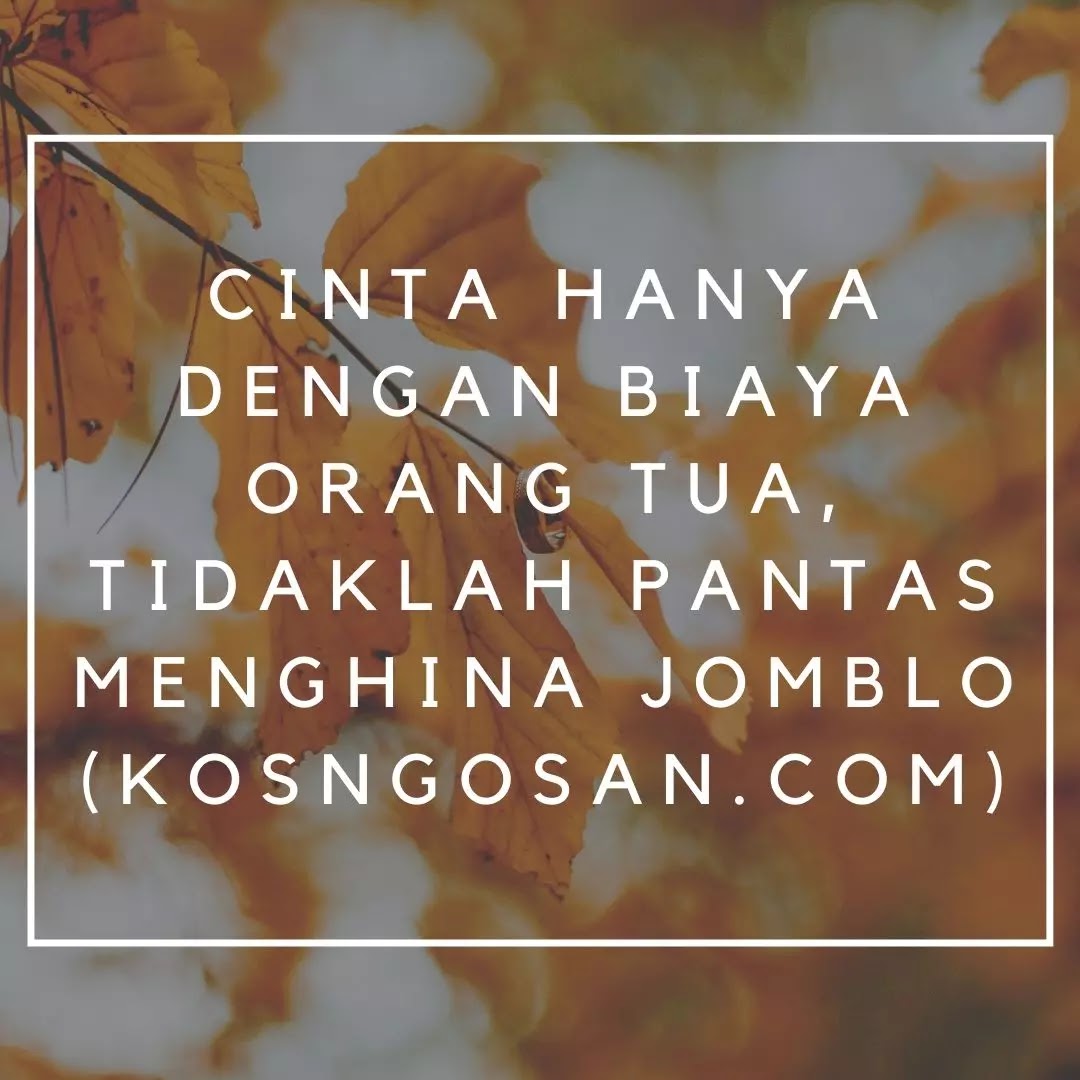 100 Kata Kata Jomblo  Bijak  yang Keren Buat Caption  KOSNGOSAN