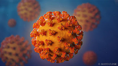 Coronavirus-  Symptoms, Precautions, Causes Explained Simply