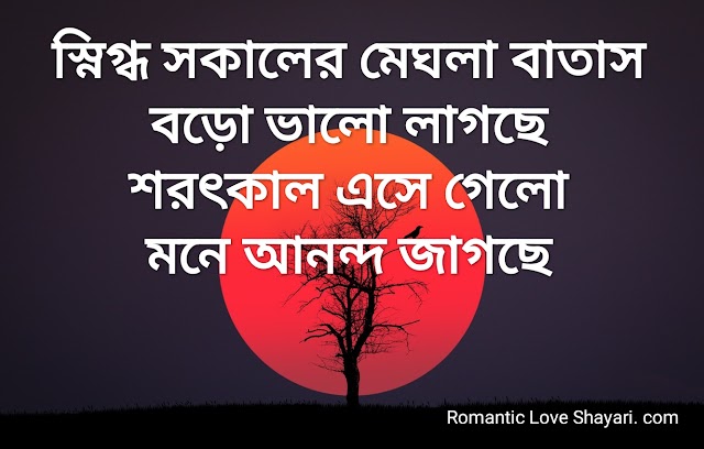 Bangla Good Morning Shayari - Good Morning SMS - শুভ সকাল