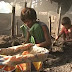Παιδική εργασία: Δραματική αύξηση παγκοσμίως