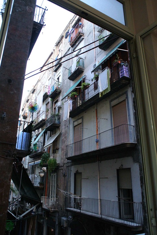 DSC_2220