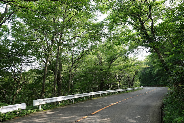 大山寺周辺の大山環状道路