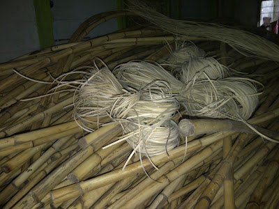 Rotan manau memiliki sifat padat, keras dan kokoh.