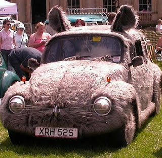 VW Wrapped Cat Fur