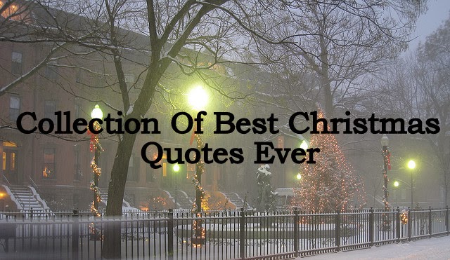  Christmas  Giving Quotes  Inspirational  QuotesGram
