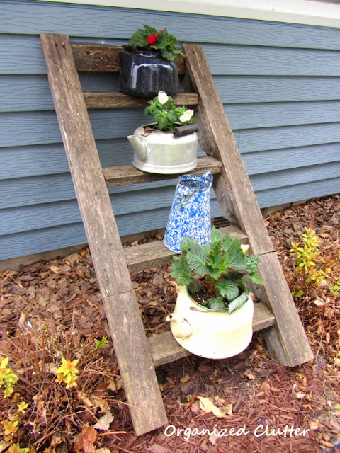 Rustic Ladders in the Junk Garden