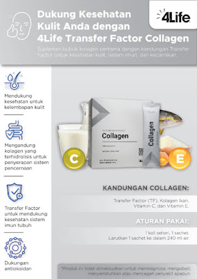 4life collagen