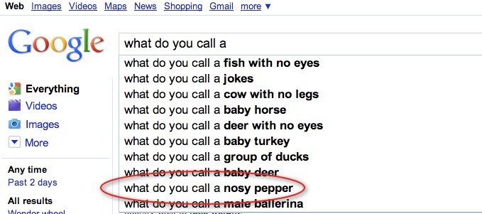 funny google searches suggestions. funny google searches