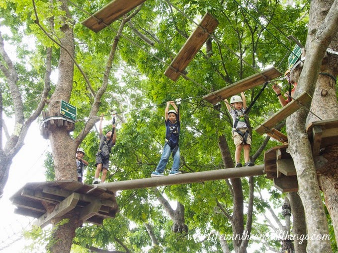 Forest Adventure7
