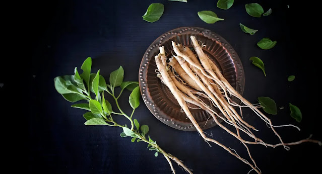 Ashwagandha, herbs for protection, herbs, herbs and rye, gaia herbs, smokable herbs,  how to dry herbs, what herbs can you smoke, witlifestylist,