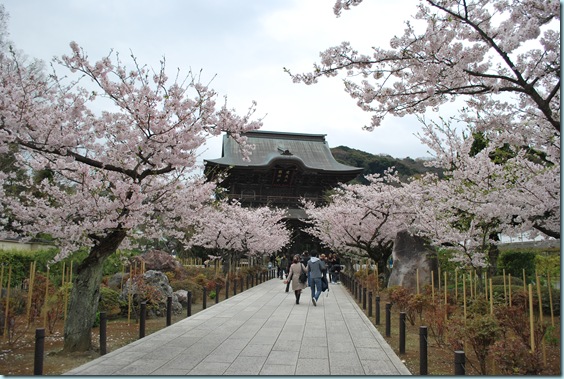 Kamakura 106