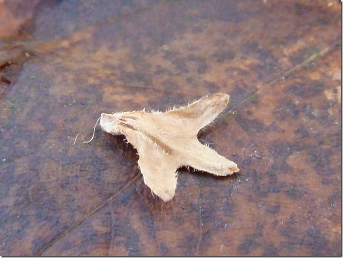 P1170007