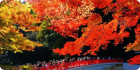 Kourankei park