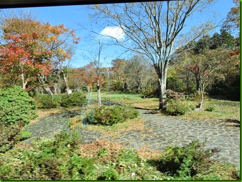 DSCN0438