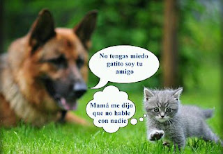 Imagenes Divertidas para Facebook, parte 3