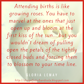     Attending births is like growing roses. You have to marvel at the ones that just open up and bloom at the first kiss of the sun... but you wouldn't dream of pulling open the petals of the tightly closed buds and forcing them to blossom to your time line. - Gloria Lemay