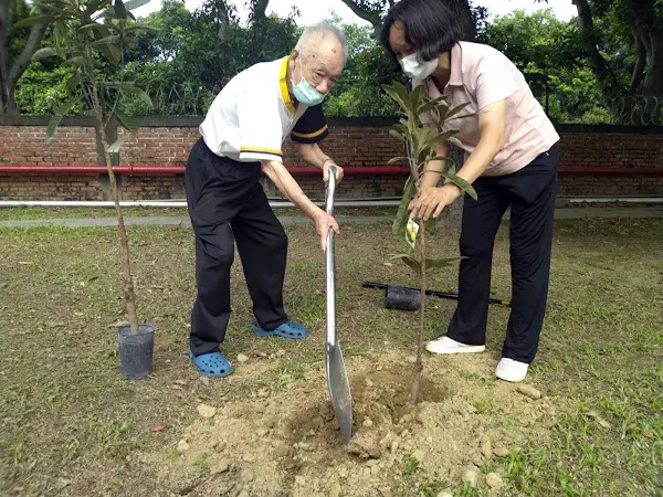 疫情緊繃宅在家 榮家老人種植果樹超療癒