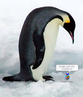 Funny pictures of penguin