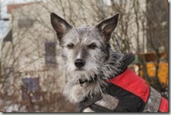 IMG_0083