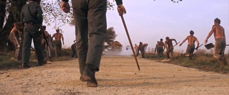 Images From Cool Hand Luke courtesy of Warner Brothers