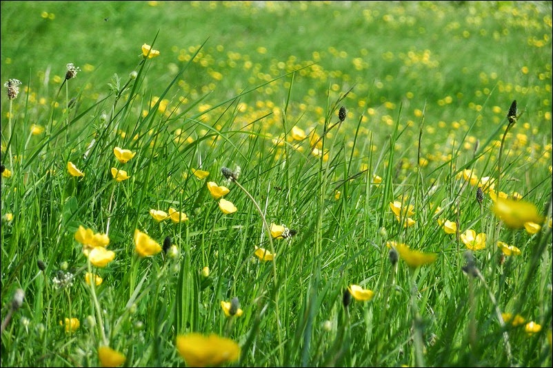 DSCN0035