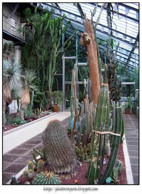 Jardin Botanico de Madrid