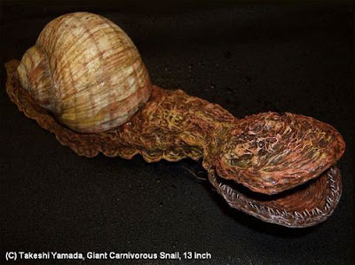 Giant Carniverous Snail