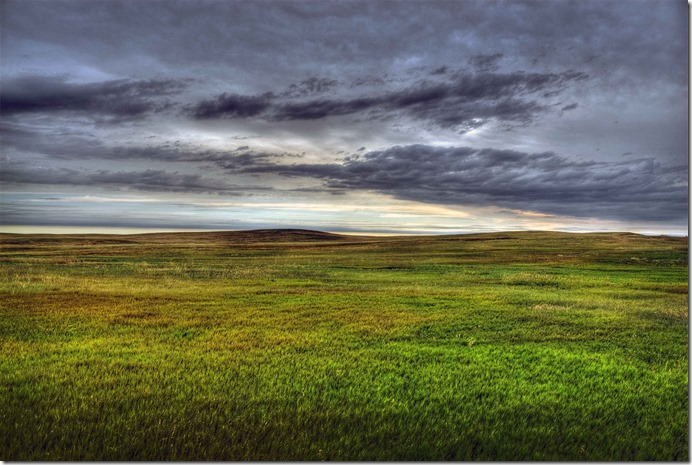 Grasslands