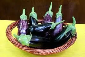 benefits of eggplant