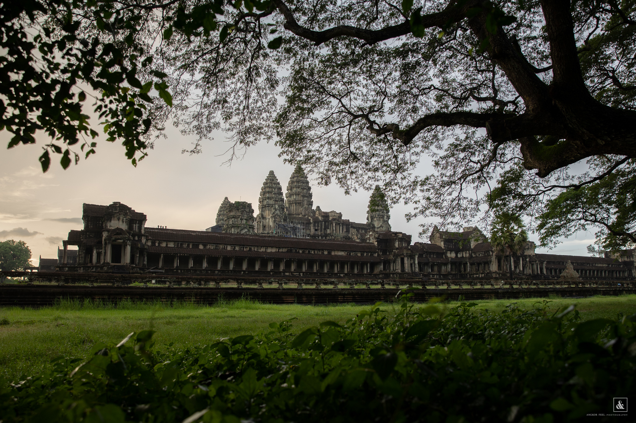 Lost Angkor Wat