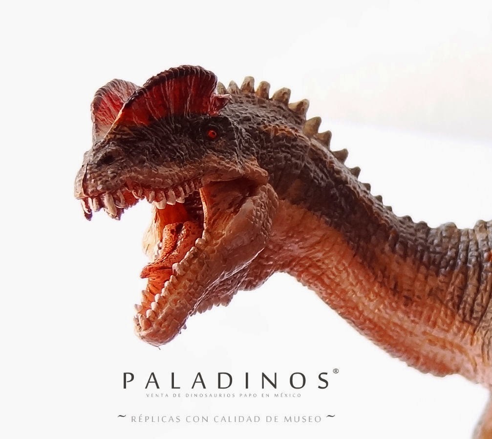 http://paladinos-mexico.com/productos/carnivoros/dilophosaurus/