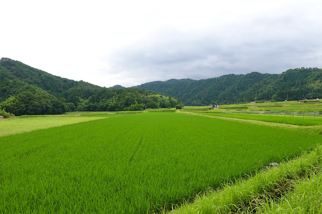 鳥取県西伯郡大山町赤松