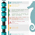 Agenda de Trabajo 4ta Convención