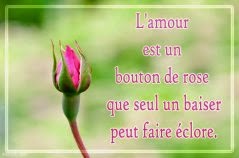 Image D'amour Romantique Pour L'anniversaire De Mariage