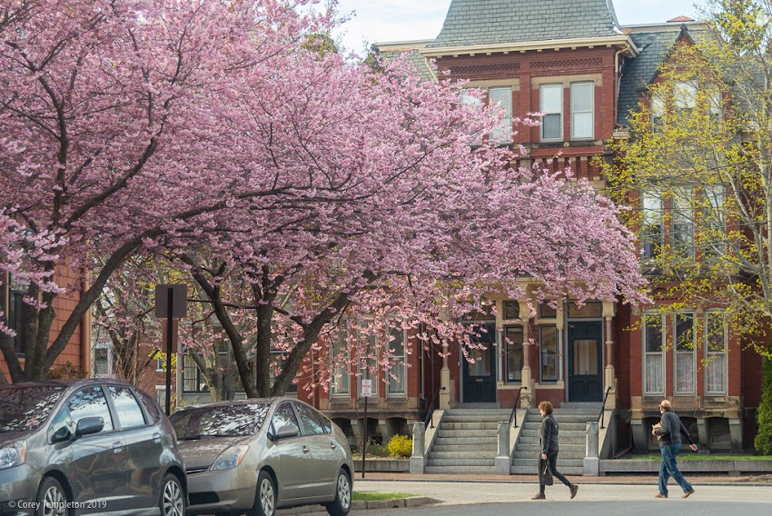Portland, Maine USA May 2019 photo by Corey Templeton. Pine and Thomas Streets in the West End. A photogenic corner year round, but especially during that magic week in spring when everything starts to bloom.
