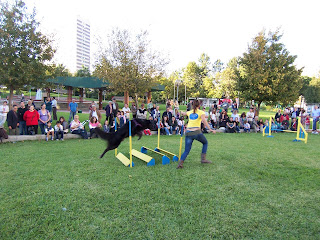 demonstração de agility