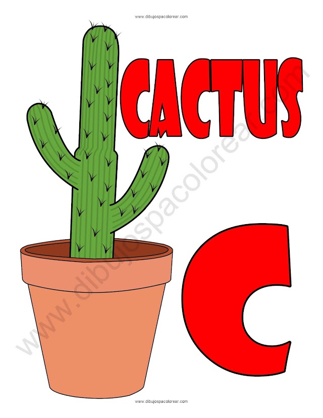 Cactus dibujo a color y para colorear