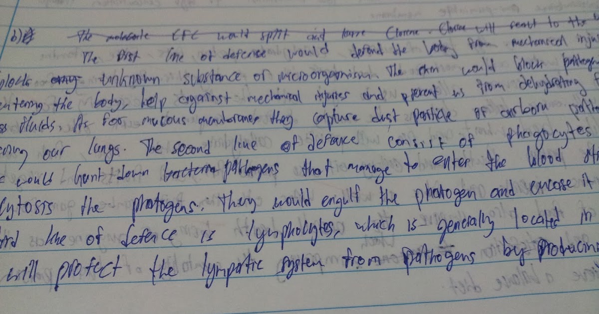 Contoh Soalan Biologi Kertas 2 Tingkatan 4 Akhir Tahun 