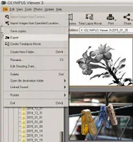 Olympus Viewer 3 Exporting Images