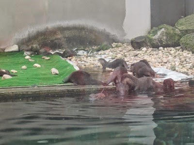 Fluviário de Mora 462