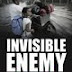 The Invisible Enemy: The African American Freedom Struggle after 1965