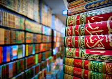 Search Engine Hadith Books in Urdu & Video Tutorial
