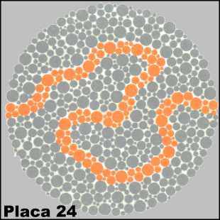 Teste de Ishihara - Placa número 24