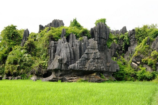 The Enchantment of the Beauty of Rammang-Rammang Maros, Indonesia