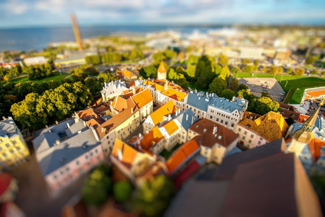 Thủ đô Tallin của Cộng hòa Estonia trong ánh nắng vàng rực
