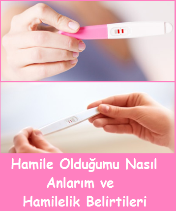 Hamile Olduğumu Nasıl Anlarım ve Hamilelik Belirtileri