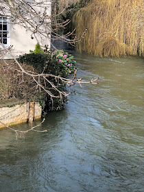 Chez Maximka, floods in Oxfordshire